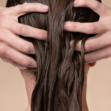 Load image into Gallery viewer, Volumizing Rosemary &amp; Biotin Conditioner
